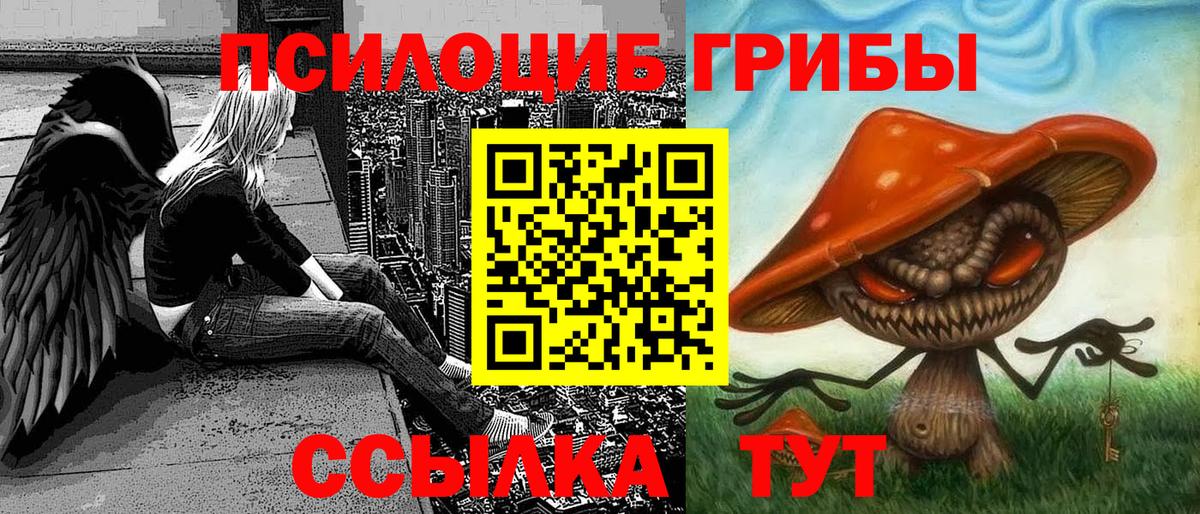 Псилоцибиновые грибы Cubensis  Галлюциногенные грибы Psilocybine cubensis  как найти закладки  Вход с VPN  Советская Гавань 