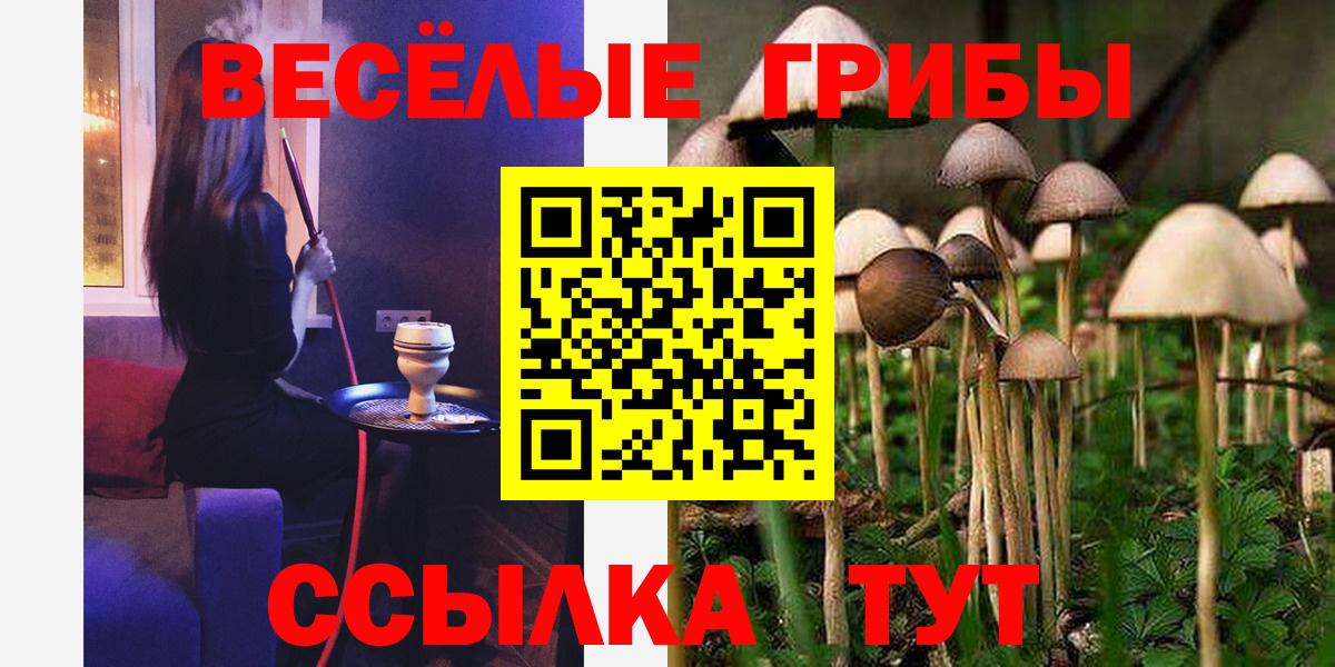 Псилоцибиновые грибы мицелий Советская Гавань